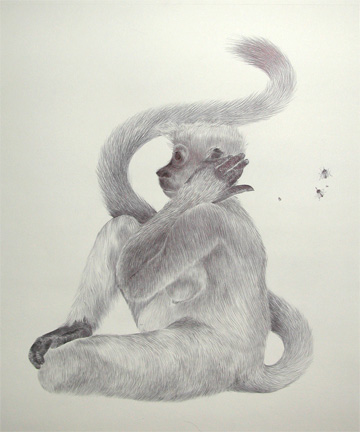 Yesterday's monkey. I finished yesterday's drawing.